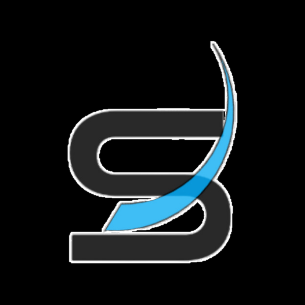 Detailing Services logo